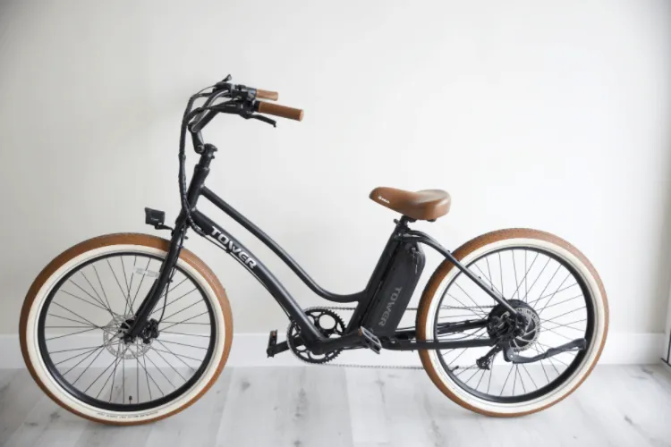 Electric Bike